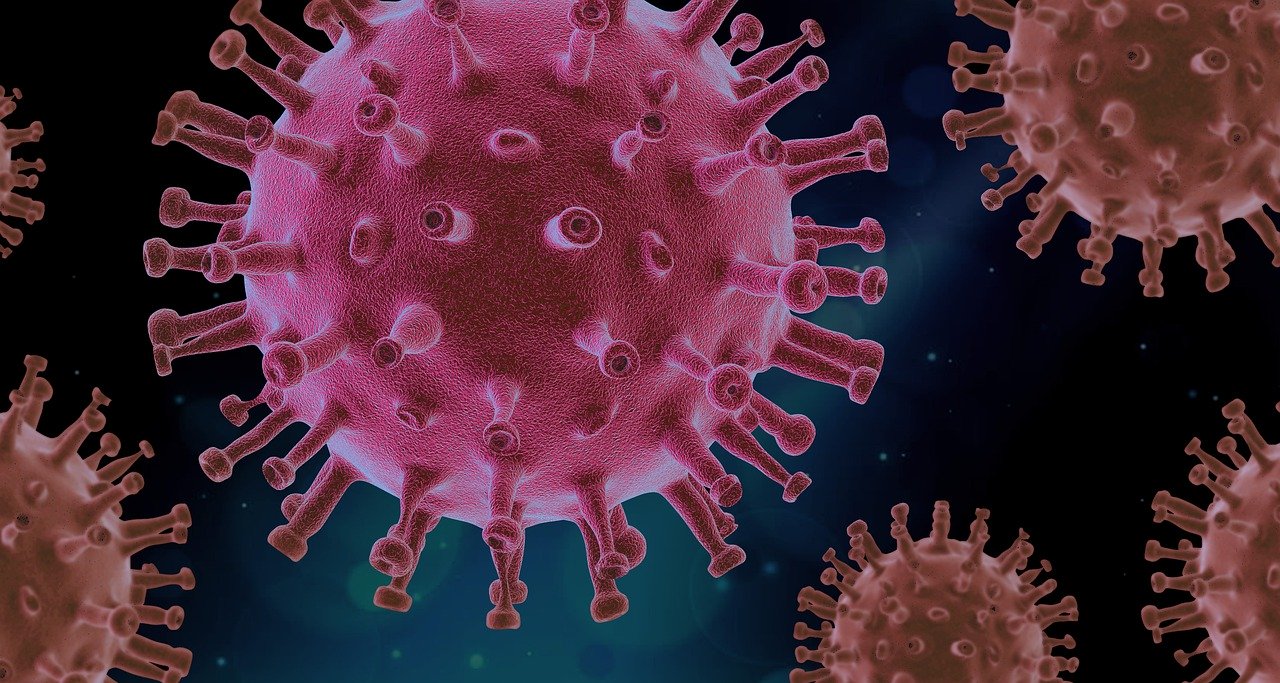 microscopsbild av covid-19-virus