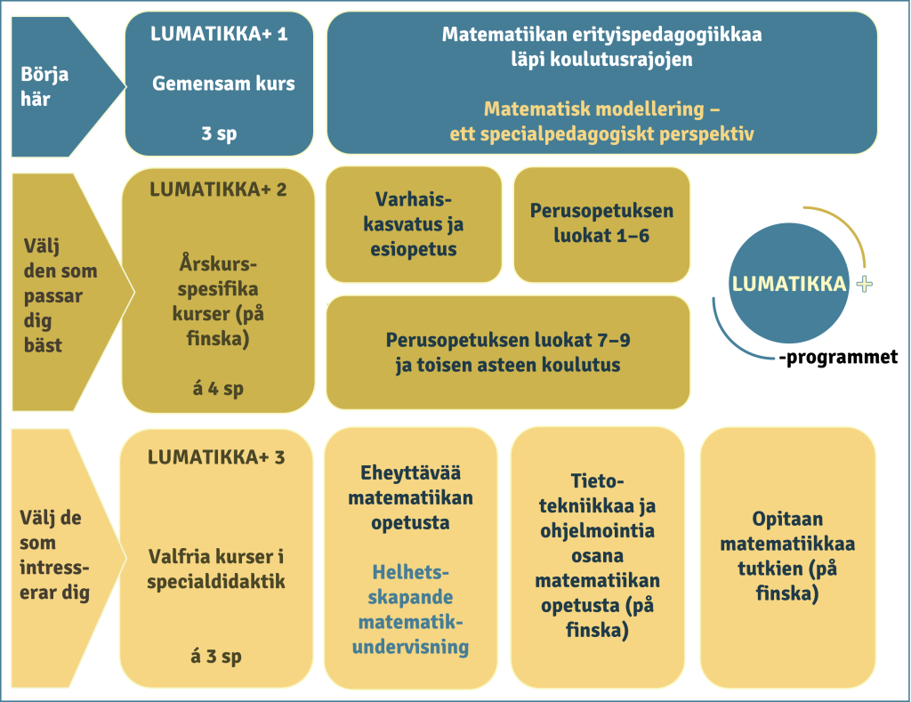 LUMATIKKA+ -programmet:

Börja här: LUMATIKKA+ 1 Gemensam kurs 3 sp. Matematiikan erityispedagogiikkaa läpi koulutusrajojen / Matematisk modellering - ett specialpedagogiskt perspektiv.

Välj den som passar dig bäst: LUMATIKKA+ 2 Årskursspesifika kurser (på finska) á  sp. Varhaiskasvatus ja esiopetus, Perusopetuksen luokat 1-6 tai perusopetuksen luokat 7-9 ja toisen asteen koulutus.

Välj de som intresserar dig: LUMATIKKA+ 3 Valfria kurser i specialdidaktik. Eheyttävää matematiikan opetusta / Helhetsskapande matematikundervisning, Tietotekniikkaa ja ohjelmointia osana matematiikan opetusta (på finska) tai Opitaan matematiikkaa tutkien (på finska).